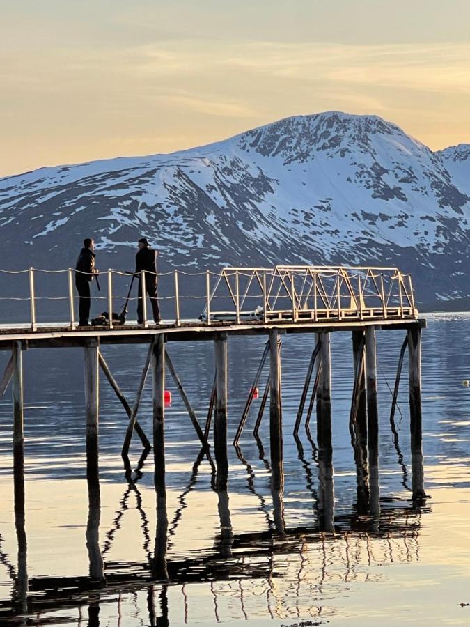 Skittenelv Lodge & Camping Tromsø Esterno foto